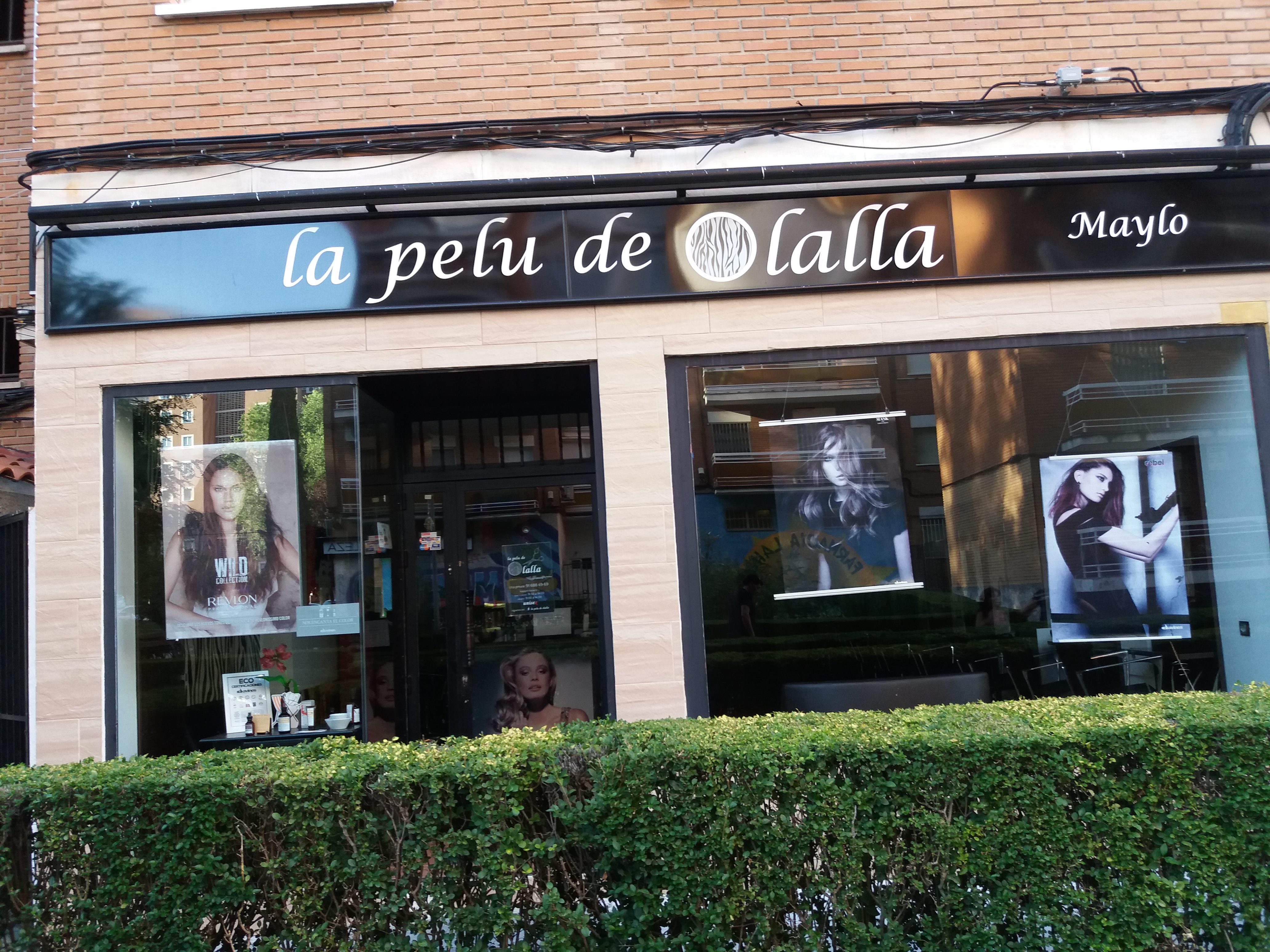 Galería de imágenes